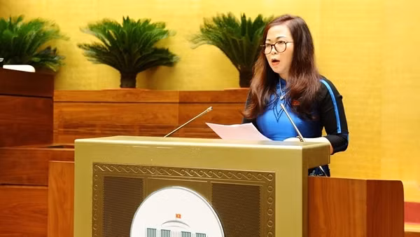 The Arena Cam Ranh - cơ hội vàng cho những nhà đầu tư thông minh ảnh 4
