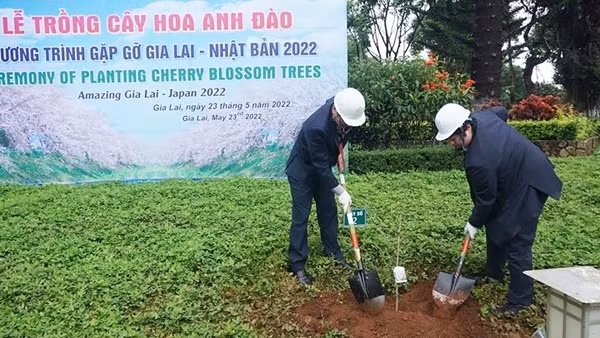 “Chào hè cùng văn hoá Nhật Bản” tại Bảo tàng Phụ nữ Việt Nam ảnh 1