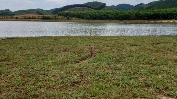 Đi thả lưới bắt cá, hai anh em chết đuối trong đêm