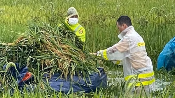 Công an Thái Nguyên tham gia khắc phục hậu quả thiên tai ảnh 2