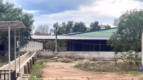 Trang trại chăn nuôi vịt gây ô nhiễm môi trường ảnh 4