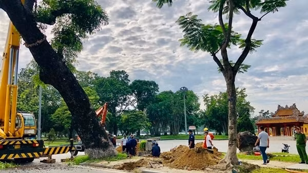 Tìm phương án di dời ngôi biệt thự Pháp ở ‘khu đất vàng’ trung tâm TP Huế ảnh 4
