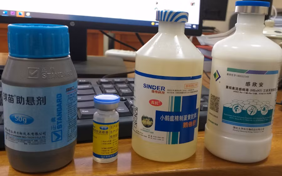 Xử lý hình sự buôn bán thuốc, vaccine thú y nhập lậu gây hậu quả nghiêm trọng -0