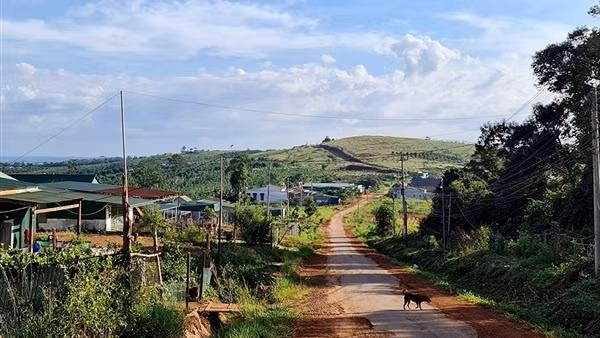 Nhà đầu tư thuê đất rồi bỏ hoang, để mặc dân lấn chiếm