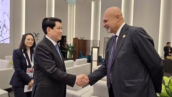 Chủ tịch nước Lương Cường gặp lãnh đạo một số thành viên APEC