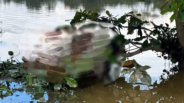Phát hiện thi thể nam thanh niên bị lũ cuốn mắc trên cành cây
