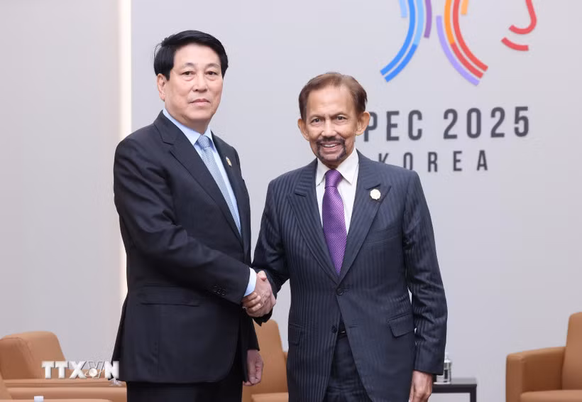 Tuần lễ Cấp cao APEC 2025: Phát triển hơn nữa quan hệ thực chất Việt Nam-Brunei -0