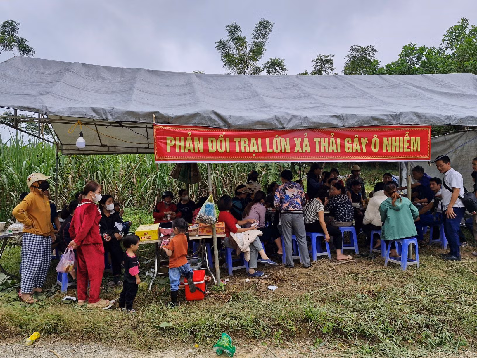 Thanh Hóa: Yêu cầu chủ trại lợn ASEAN xử lý dứt điểm mùi hôi phát tán ra môi trường -0