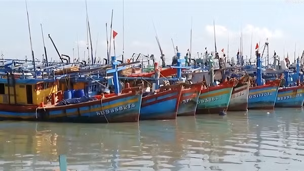 Thúc đẩy phát triển nghề cá bền vững và tuân thủ các quy định quốc tế