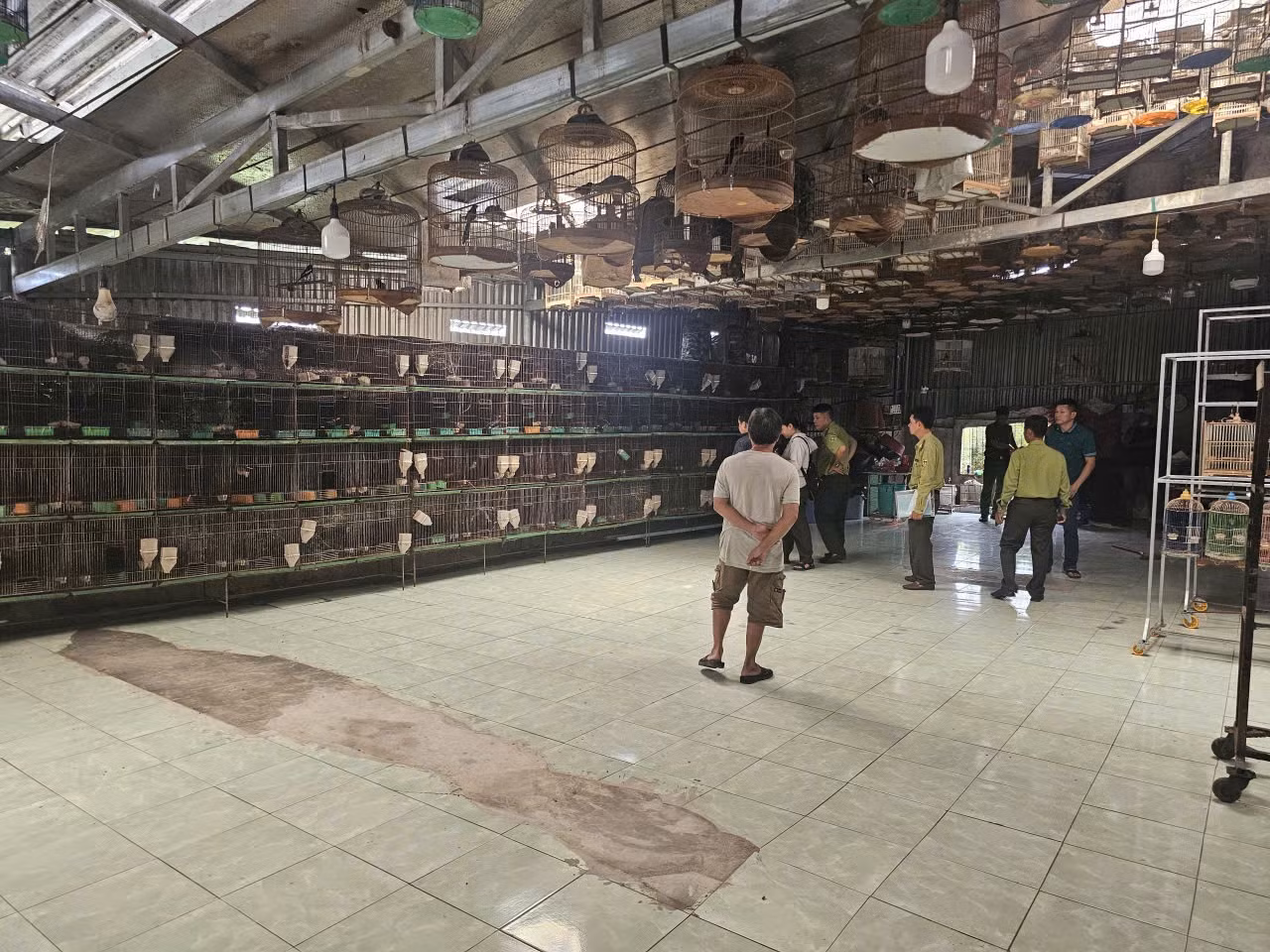 Cảnh sát môi trường phát hiện xử lý nhiều cơ sở nuôi nhốt, buôn bán chim hoang dã trái phép -0