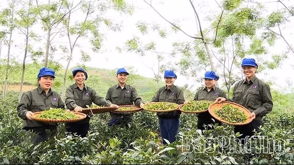 Hướng tới nền nông nghiệp hiện đại, chất lượng và giá trị cao