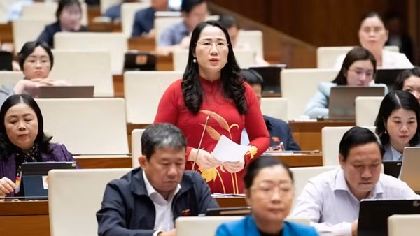 Đại biểu đánh giá cao Bộ Công an đấu tranh trấn áp tội phạm, bóc gỡ nhiều vụ hàng giả
