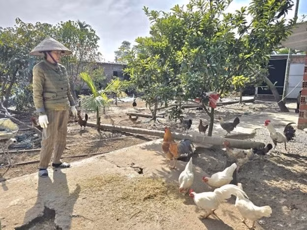 Vốn chính sách tạo sinh kế ổn định -0