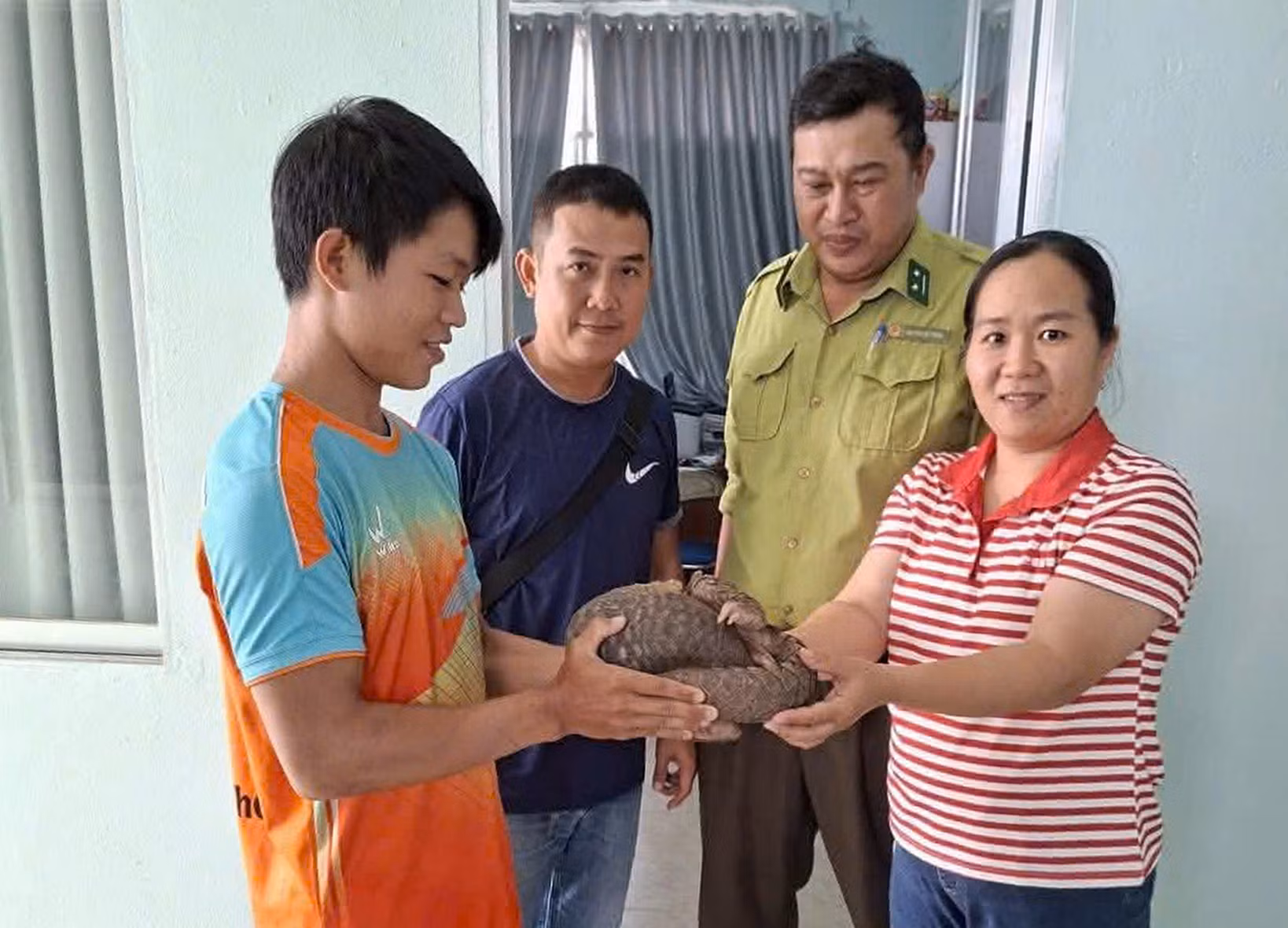 Người dân phát hiện, giao nộp cá thể Tê tê Java có tên trong Sách đỏ IUCN -0