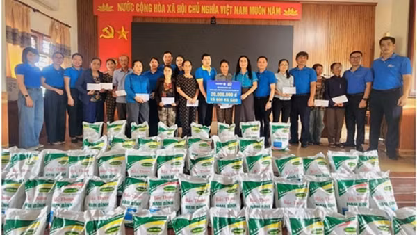 Tập đoàn Bảo Việt (BVH): Top 20 cổ phiếu có chỉ số phát triển bền vững xuất sắc