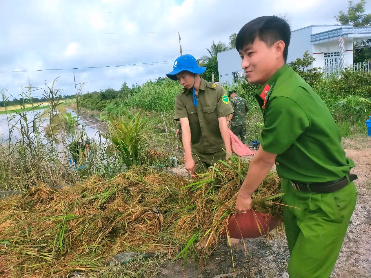Giúp dân gặt lúa chạy lũ -0