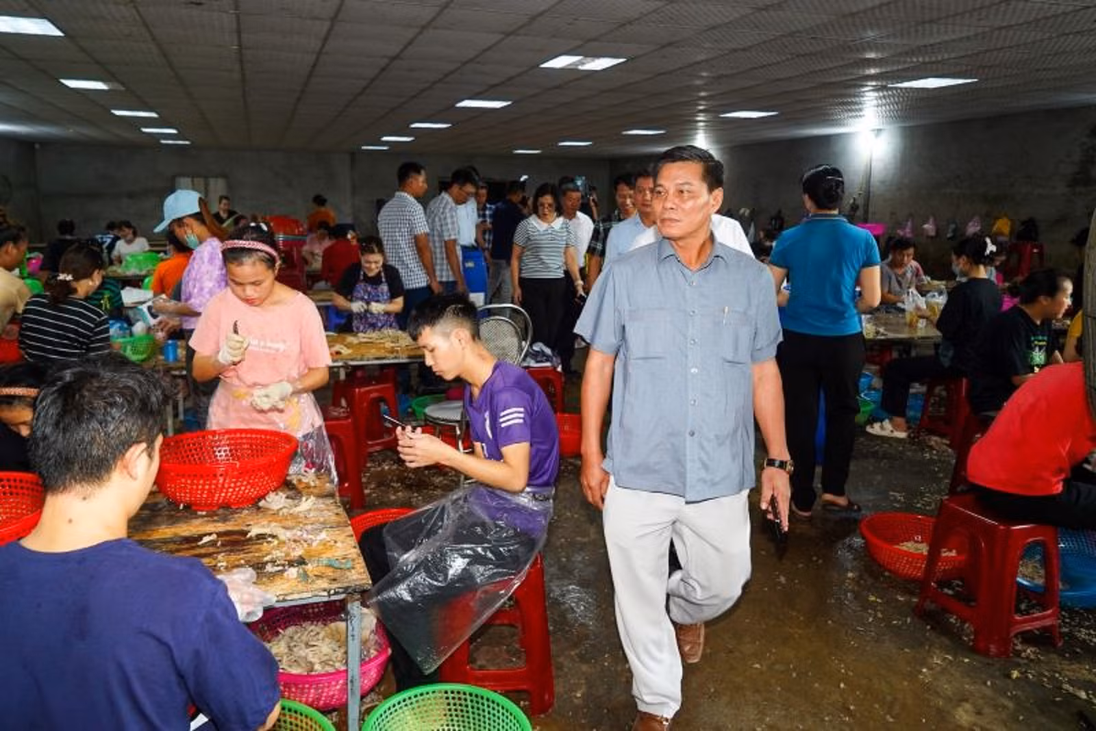 Chủ tịch TP Hải Phòng phát hiện doanh ngiệp có dấu hiệu chế biến chân gà vi phạm an toàn thực phẩm -0