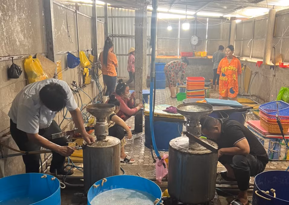 Bắt quả tang một cơ sở bơm tạp chất vào tôm nguyên liệu -0