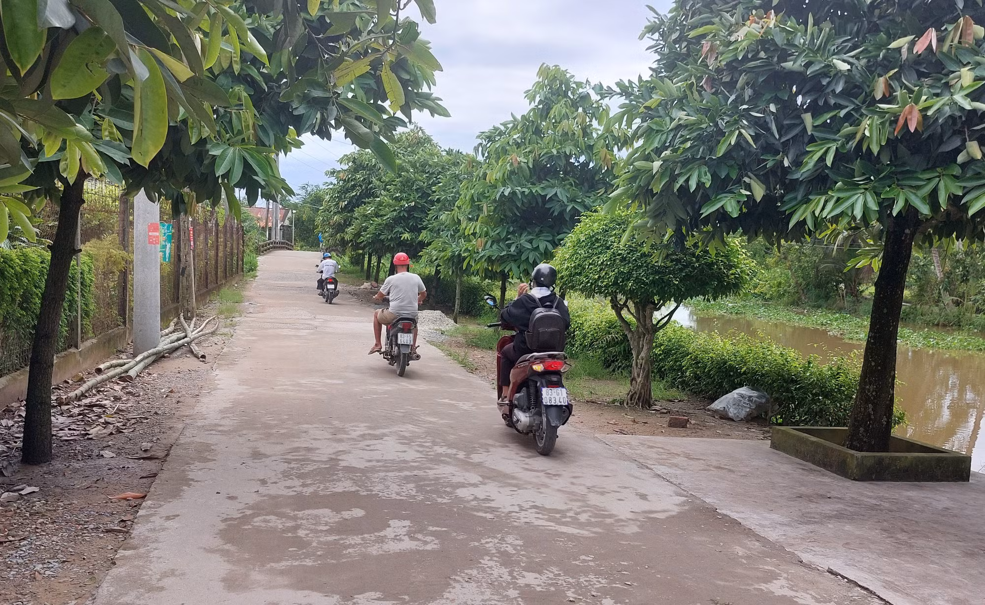 Tấm lòng vàng của người phụ nữ nông dân Sóc Trăng -0