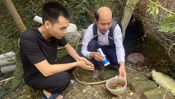 Hà Nội: Sốt xuất huyết, tay chân miệng tăng "chóng mặt"