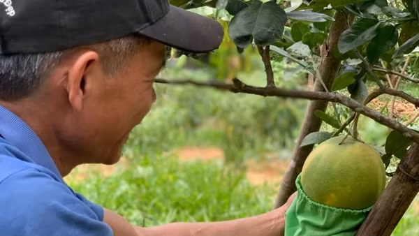 Nhiều cách làm hay giúp giảm thiểu rác thải nhựa ra môi trường