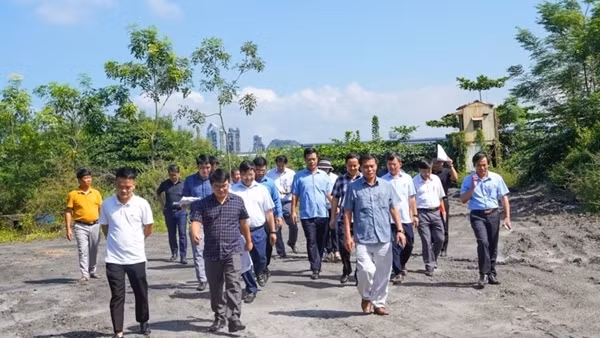 Hải Phòng phát hiện hàng loạt sai phạm quản lý, sử dụng đất đai