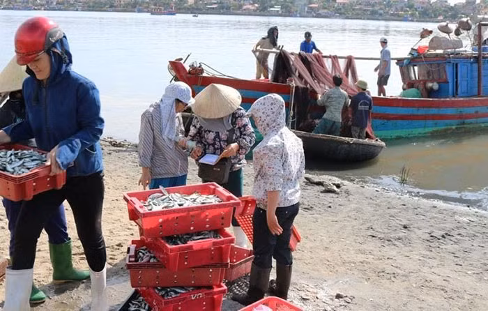 Hỗ trợ ngư dân yên tâm bám biển bảo vệ ngư trường -0
