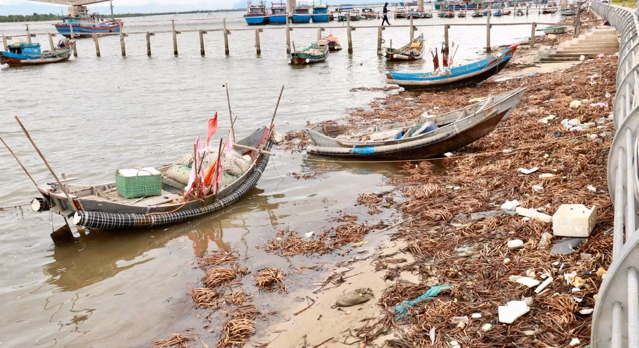 Nỗi buồn âm ỉ những bãi biển miền Trung Kỳ 3: Ai chịu trách nhiệm? -0