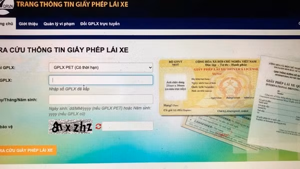 Đề nghị xử lý các trang tra cứu thông tin giấy phép lái xe giả