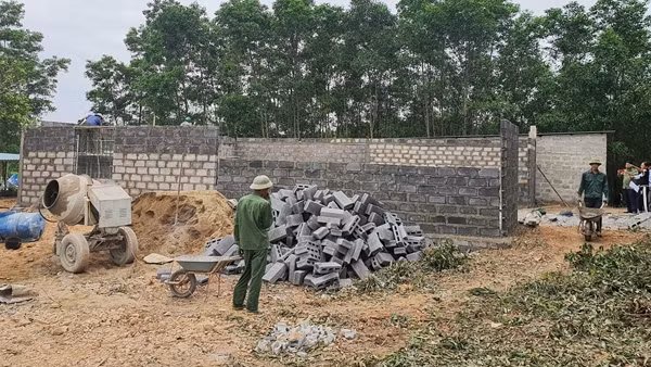XL1-1647658508277.JPG