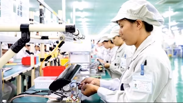 Việt Nam đứng trước cơ hội to lớn với định hướng đúng đắn, cam kết mạnh mẽ ảnh 2