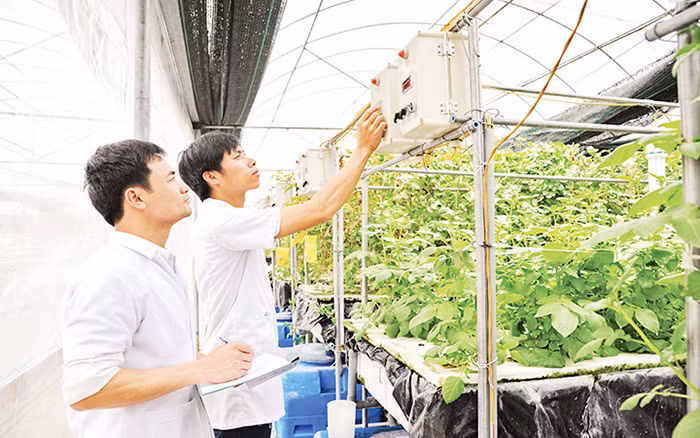 Cần cơ chế đặc biệt trong thu hút và trọng dụng nhân tài -0