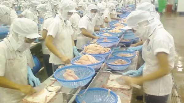 Gia tăng xuất khẩu nông sản vào thị trường EU