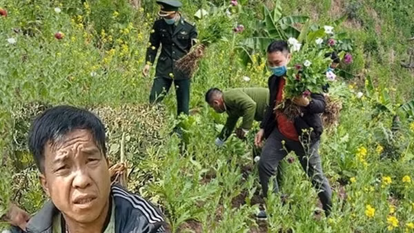 Chặn đứng nhiều đường dây vận chuyển ma túy qua Thừa Thiên – Huế ảnh 3