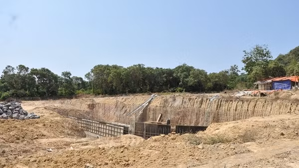 tc-1647567414301.jpg