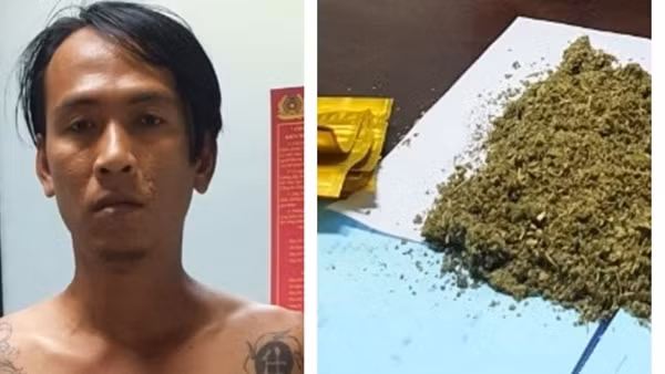 Xử lý quái xế diễn xiếc trên núi Sơn Trà ảnh 4