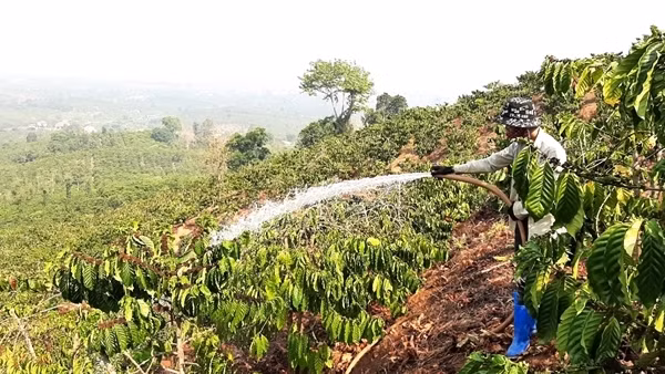 Nhiều tàu cá nằm bờ do giá nhiên liệu tăng cao ảnh 3