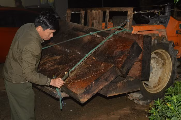Kiểm lâm vây bắt lâm tặc lúc rạng sáng -0