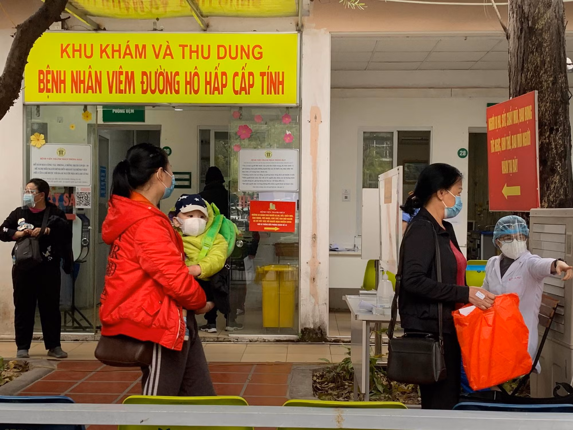 thanh nhàn 1.jpg -0