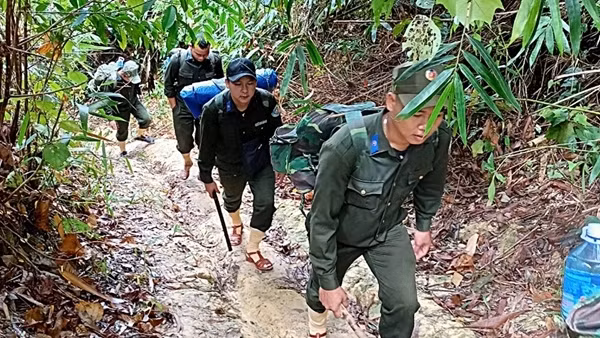 Đất không còn nhiều để trồng thêm rừng thì rất cần khoa học công nghệ vào cuộc ảnh 3