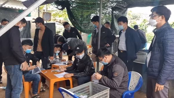 Vây bắt hàng chục con bạc tại sới gà lớn ở Huế