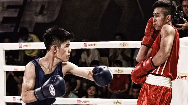 Thu Nhi và chuyện dở khóc dở cười của Boxing Việt Nam ảnh 5