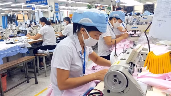 Thiếu hụt lao động tại nhiều địa phương ảnh 2