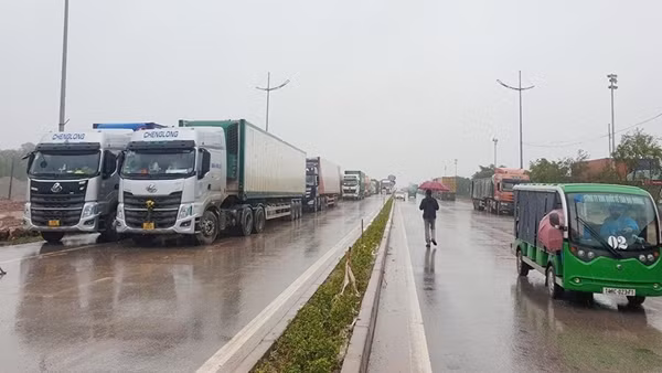 Giải pháp nào giải quyết căn cơ ùn tắc nông sản? ảnh 2