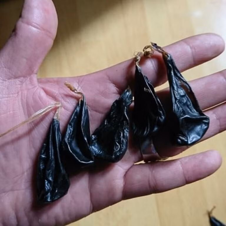 Một trẻ sơ sinh nguy kịch vì gia đình cho uống mật khỉ -0