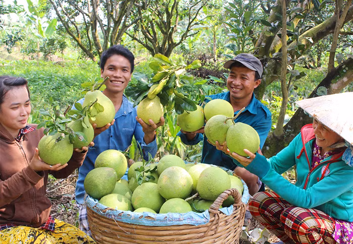 Bài toán đầu ra cho nông sản Tây Nam Bộ -0