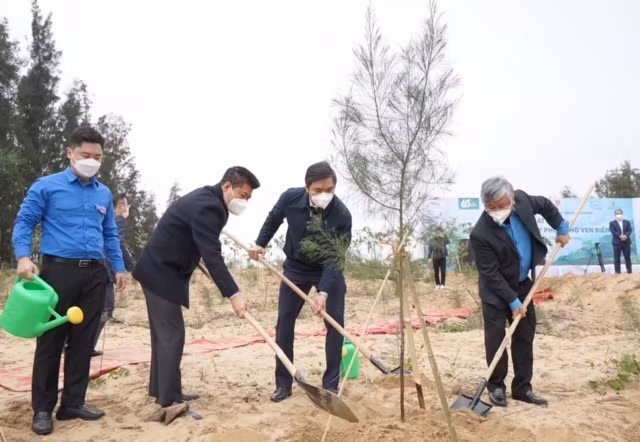 Chương trình “1 triệu cây xanh”: BIDV trồng&nbsp;6.500 cây phòng hộ ven biển tại&nbsp;Nghệ An -0