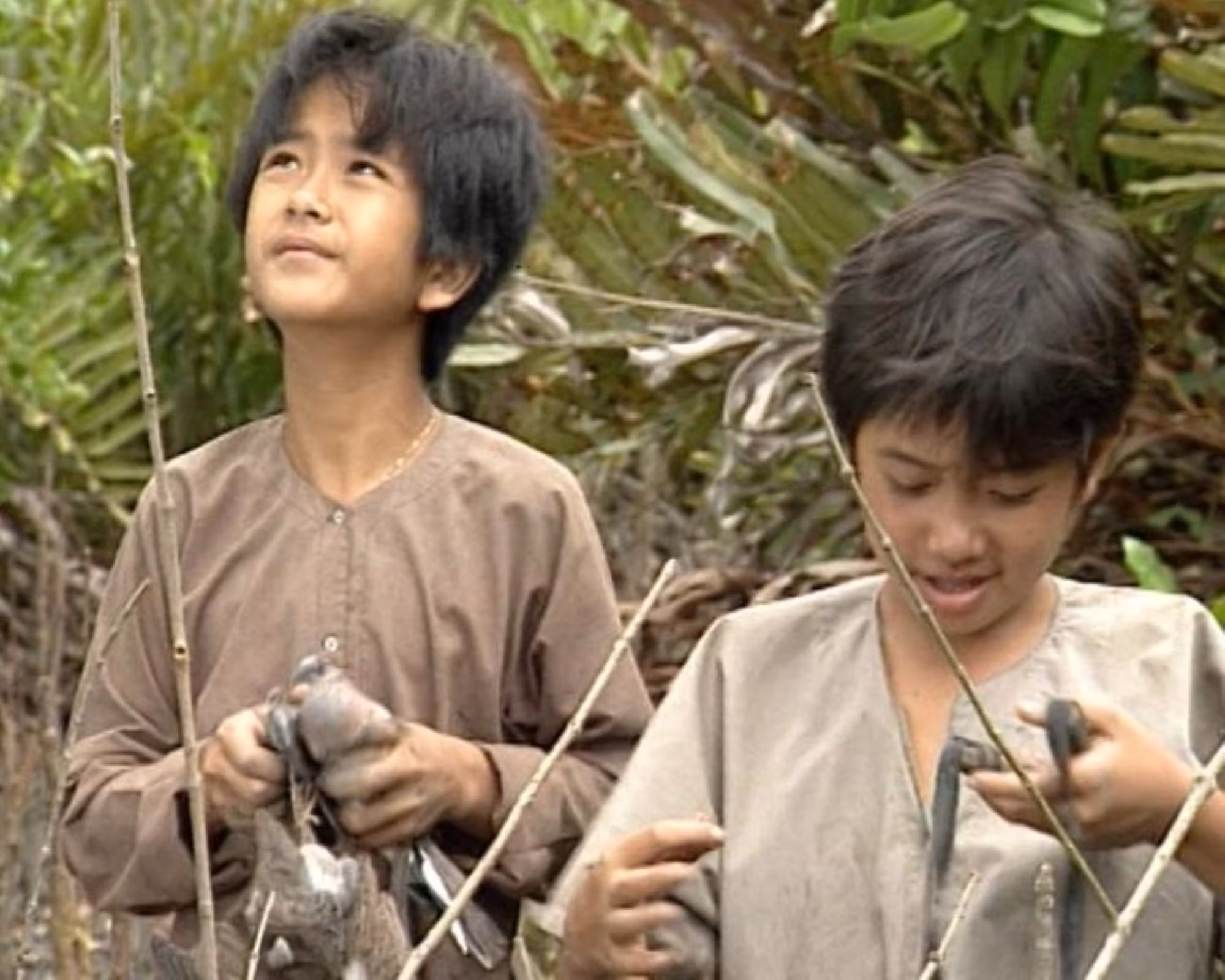 2 dat phuong nam.jpg -0