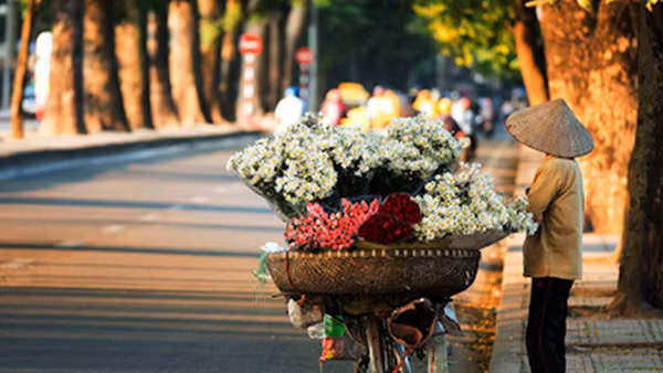 Miền Bắc có mưa, đan xen nắng hanh ảnh 2
