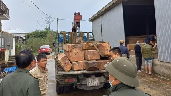 Kiểm lâm vây bắt “lâm tặc” lúc rạng sáng ảnh 3